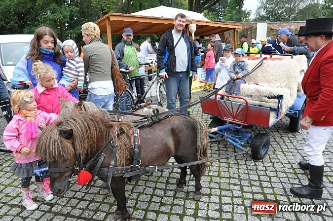 Zdjęcie w galerii na portalu naszraciborz.pl: Rodzinny piknik na raciborskim zamku wiadomości z regionu