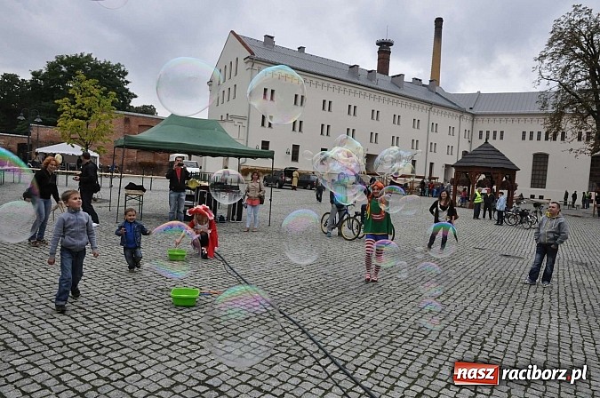 Zdjęcie w galerii na portalu naszraciborz.pl: Rodzinny piknik na raciborskim zamku wiadomości z regionu