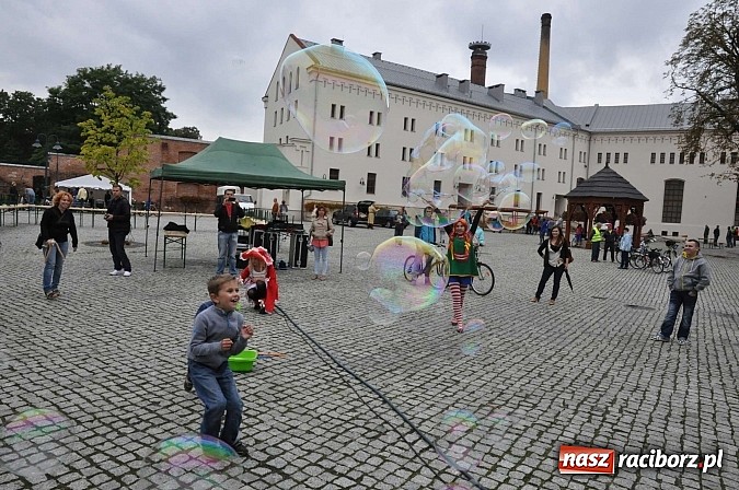 Zdjęcie w galerii na portalu naszraciborz.pl: Rodzinny piknik na raciborskim zamku wiadomości z regionu