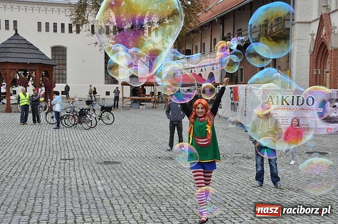Zdjęcie w galerii na portalu naszraciborz.pl: Rodzinny piknik na raciborskim zamku wiadomości z regionu
