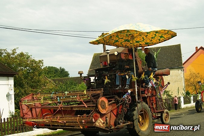 Zdjęcie w galerii na portalu naszraciborz.pl: Dożynki 2014 - Bolesław wiadomości z regionu