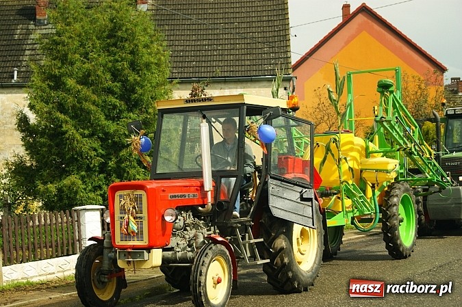 Zdjęcie w galerii na portalu naszraciborz.pl: Dożynki 2014 - Bolesław wiadomości z regionu