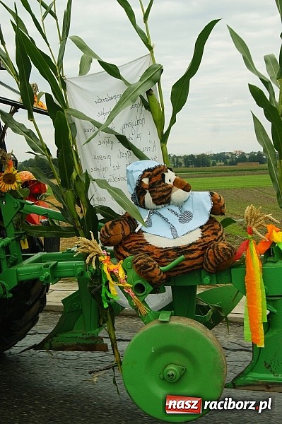 Zdjęcie w galerii na portalu naszraciborz.pl: Dożynki 2014 - Bolesław wiadomości z regionu