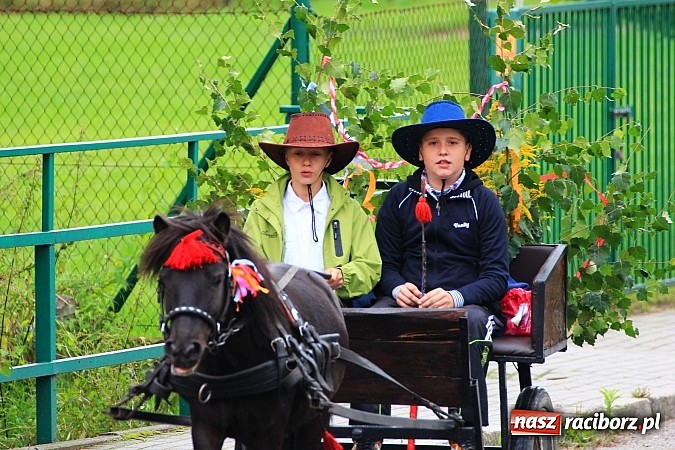 Zdjęcie w galerii na portalu naszraciborz.pl: Dożynki parafialne 2014 w Kobyli wiadomości z regionu