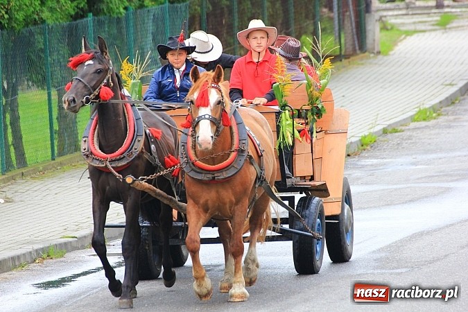 Zdjęcie w galerii na portalu naszraciborz.pl: Dożynki parafialne 2014 w Kobyli wiadomości z regionu