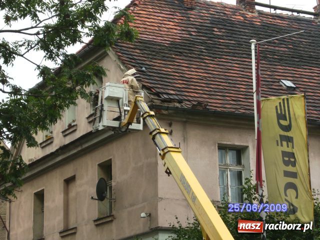 Zdjęcie w galerii na portalu naszraciborz.pl: Akcja szerszeń, czyli niechciani goście wiadomości z regionu