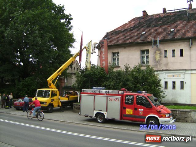 Zdjęcie w galerii na portalu naszraciborz.pl: Akcja szerszeń, czyli niechciani goście wiadomości z regionu