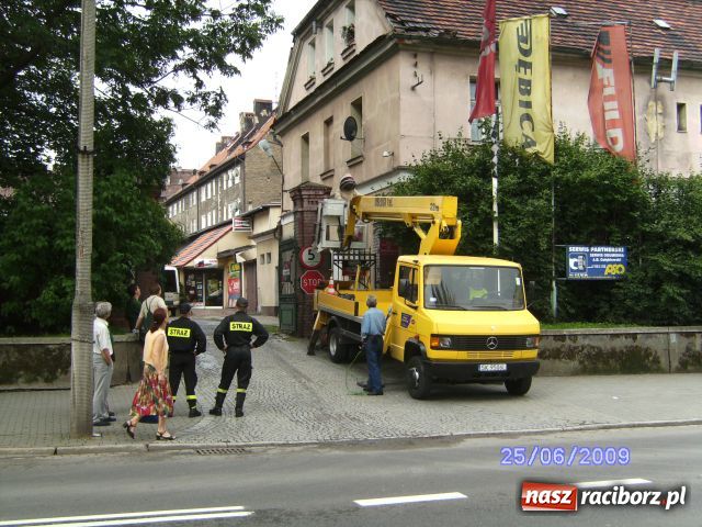 Zdjęcie w galerii na portalu naszraciborz.pl: Akcja szerszeń, czyli niechciani goście wiadomości z regionu