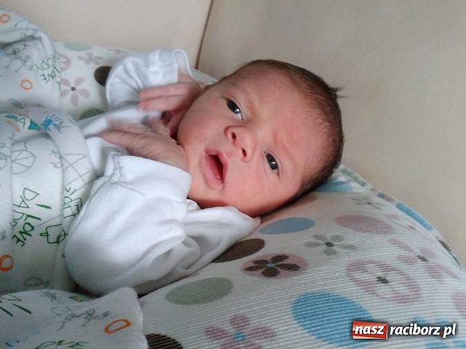 Zdjęcie w galerii na portalu naszraciborz.pl: Bożena i Przemek się radowali, kiedy małego Krzysia na świecie witali wiadomości z regionu