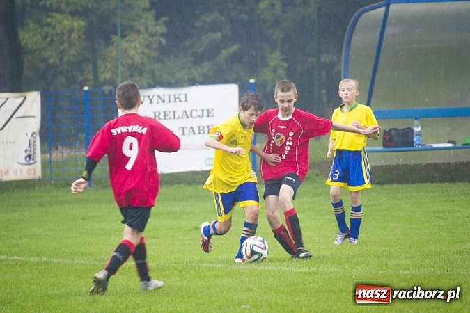 Zdjęcie w galerii na portalu naszraciborz.pl: Canarinhos z Krzanowic zremisowali z Syrynią wiadomości z regionu