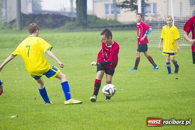 Zdjęcie w galerii na portalu naszraciborz.pl: Canarinhos z Krzanowic zremisowali z Syrynią wiadomości z regionu