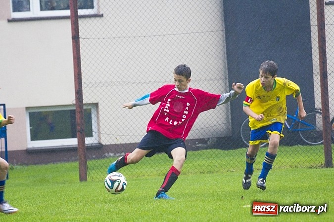 Zdjęcie w galerii na portalu naszraciborz.pl: Canarinhos z Krzanowic zremisowali z Syrynią wiadomości z regionu