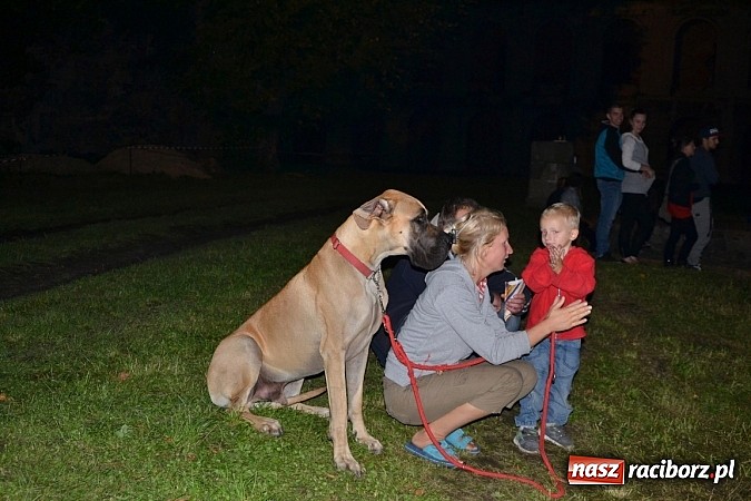 Zdjęcie w galerii na portalu naszraciborz.pl: Tabu rozgrzało wczoraj młodzież w Tworkowie wiadomości z regionu