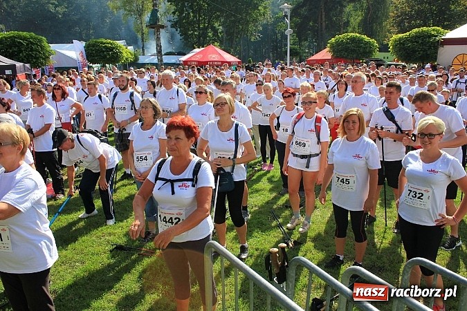 Zdjęcie w galerii na portalu naszraciborz.pl: Rekord Guinnessa w Nordic Walking w liczbach wiadomości z regionu