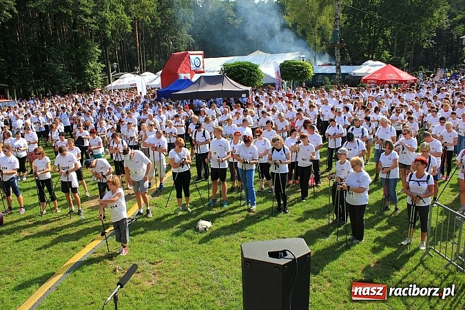 Zdjęcie w galerii na portalu naszraciborz.pl: Rekord Guinnessa w Nordic Walking w liczbach wiadomości z regionu