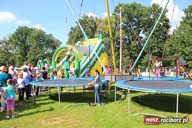 Zdjęcie w galerii na portalu naszraciborz.pl: Rekord Guinnessa w Nordic Walking w liczbach wiadomości z regionu