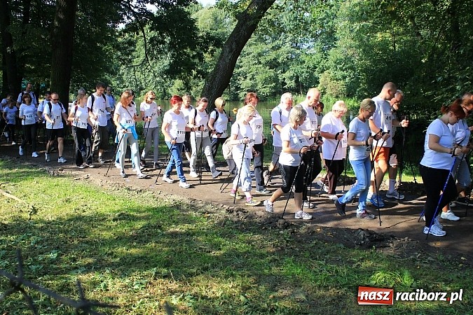 Zdjęcie w galerii na portalu naszraciborz.pl: Rekord Guinnessa w Nordic Walking w liczbach wiadomości z regionu