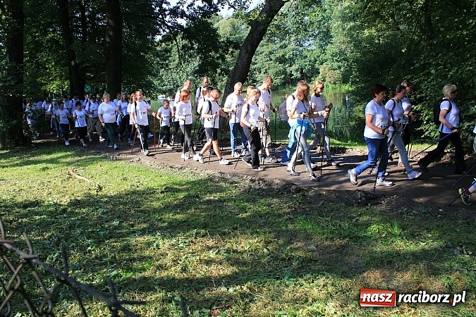 Zdjęcie w galerii na portalu naszraciborz.pl: Rekord Guinnessa w Nordic Walking w liczbach wiadomości z regionu