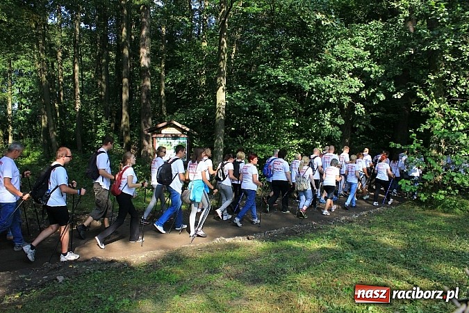 Zdjęcie w galerii na portalu naszraciborz.pl: Rekord Guinnessa w Nordic Walking w liczbach wiadomości z regionu
