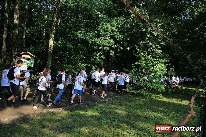 Zdjęcie w galerii na portalu naszraciborz.pl: Rekord Guinnessa w Nordic Walking w liczbach wiadomości z regionu
