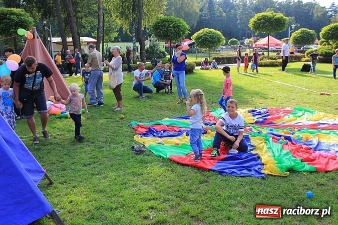 Zdjęcie w galerii na portalu naszraciborz.pl: Rekord Guinnessa w Nordic Walking w liczbach wiadomości z regionu