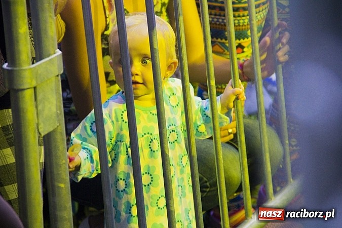 Zdjęcie w galerii na portalu naszraciborz.pl: Pectus i Paranienormalni gwiazdami 65. urodzin Rafako   wiadomości z regionu