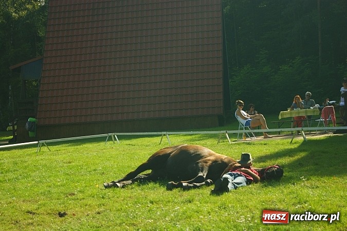 Zdjęcie w galerii na portalu naszraciborz.pl: Piknik country w Leśnej Polanie wiadomości z regionu