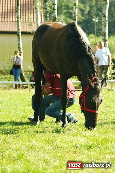 Zdjęcie w galerii na portalu naszraciborz.pl: Piknik country w Leśnej Polanie wiadomości z regionu