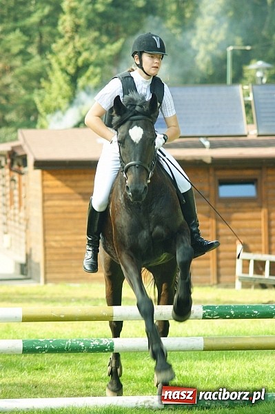 Zdjęcie w galerii na portalu naszraciborz.pl: Piknik country w Leśnej Polanie wiadomości z regionu
