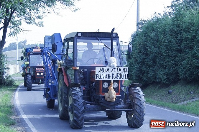 Zdjęcie w galerii na portalu naszraciborz.pl: Dożynki gminy Pietrowice Wlk. - Pawłów 2014 wiadomości z regionu
