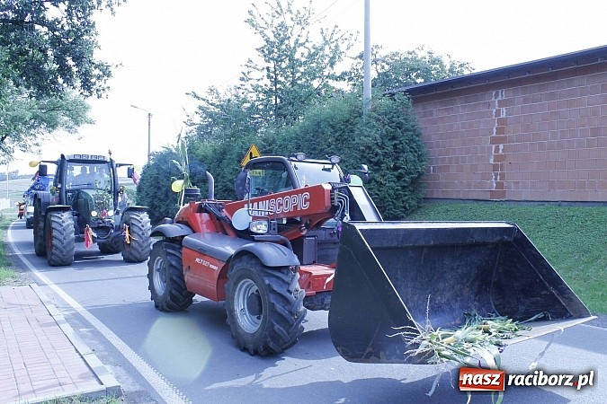 Zdjęcie w galerii na portalu naszraciborz.pl: Dożynki gminy Pietrowice Wlk. - Pawłów 2014 wiadomości z regionu