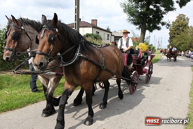 Zdjęcie w galerii na portalu naszraciborz.pl: Długi i barwny korowód dożynkowy w Łańcach wiadomości z regionu