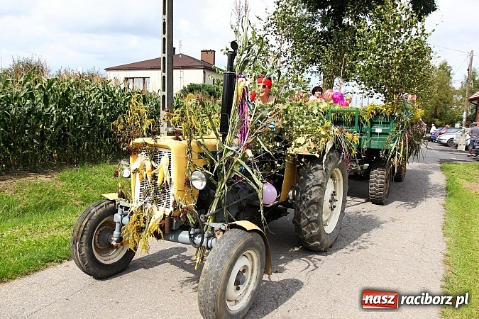 Zdjęcie w galerii na portalu naszraciborz.pl: Długi i barwny korowód dożynkowy w Łańcach wiadomości z regionu