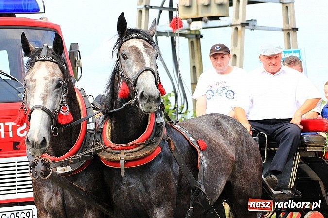 Zdjęcie w galerii na portalu naszraciborz.pl: Długi i barwny korowód dożynkowy w Łańcach wiadomości z regionu