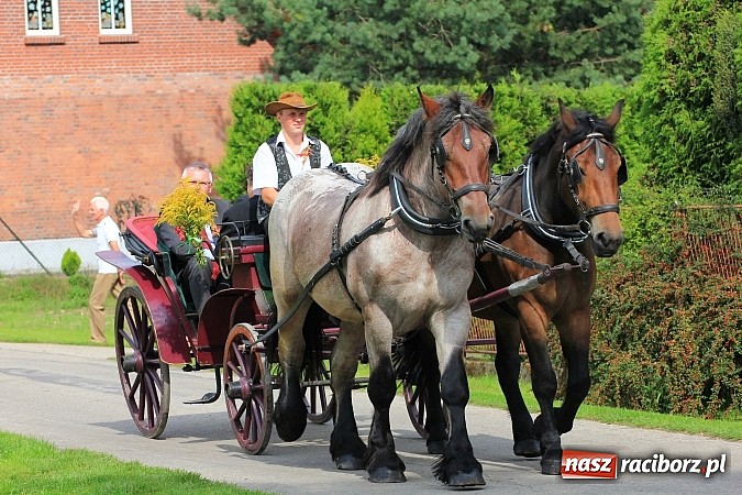 Zdjęcie w galerii na portalu naszraciborz.pl: Długi i barwny korowód dożynkowy w Łańcach wiadomości z regionu