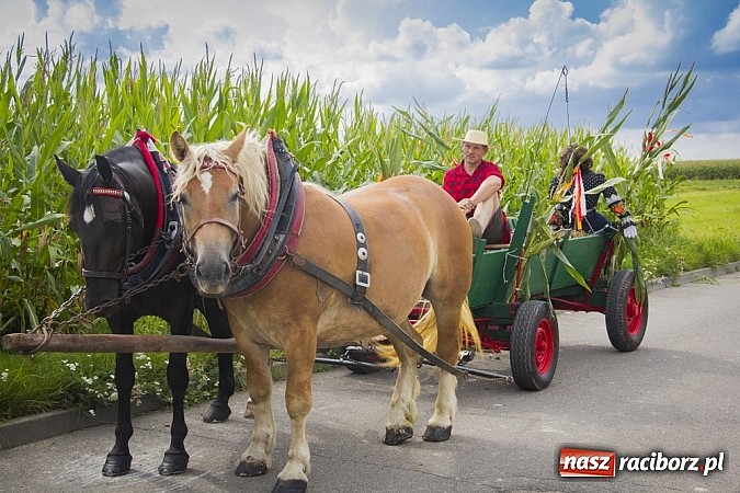 Zdjęcie w galerii na portalu naszraciborz.pl: Święto plonów w Sudole wiadomości z regionu