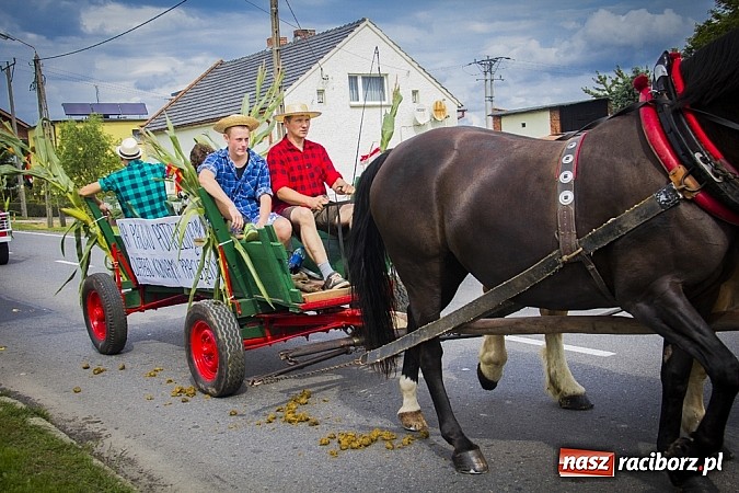 Zdjęcie w galerii na portalu naszraciborz.pl: Święto plonów w Sudole wiadomości z regionu