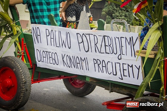 Zdjęcie w galerii na portalu naszraciborz.pl: Święto plonów w Sudole wiadomości z regionu