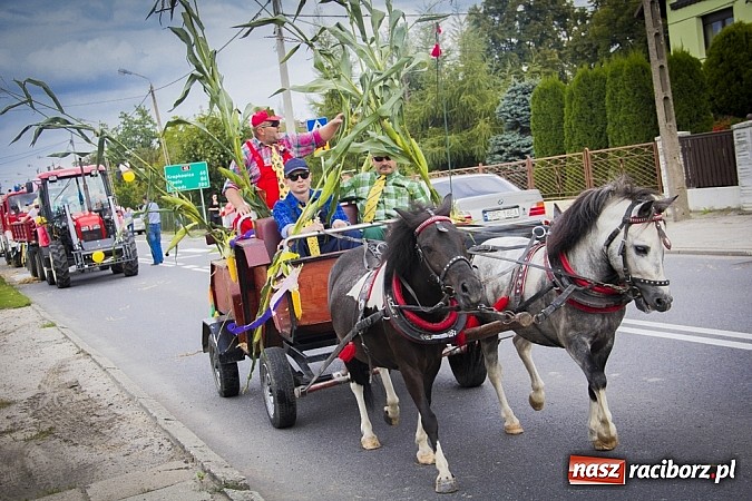 Zdjęcie w galerii na portalu naszraciborz.pl: Święto plonów w Sudole wiadomości z regionu