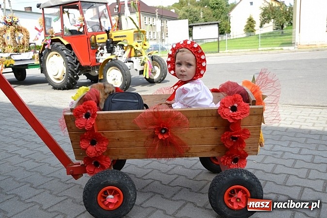 Zdjęcie w galerii na portalu naszraciborz.pl: Bajkowo i kolorowo na dożynkach w Owsiszczach wiadomości z regionu