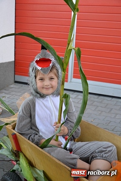 Zdjęcie w galerii na portalu naszraciborz.pl: Bajkowo i kolorowo na dożynkach w Owsiszczach wiadomości z regionu