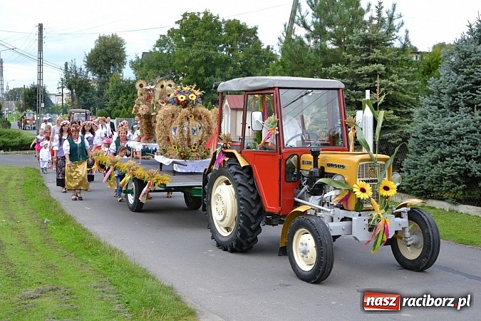 Zdjęcie w galerii na portalu naszraciborz.pl: Bajkowo i kolorowo na dożynkach w Owsiszczach wiadomości z regionu