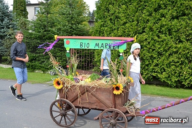 Zdjęcie w galerii na portalu naszraciborz.pl: Bajkowo i kolorowo na dożynkach w Owsiszczach wiadomości z regionu