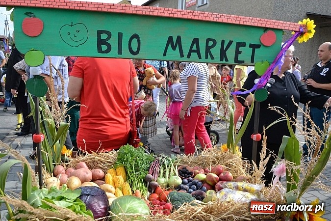Zdjęcie w galerii na portalu naszraciborz.pl: Bajkowo i kolorowo na dożynkach w Owsiszczach wiadomości z regionu