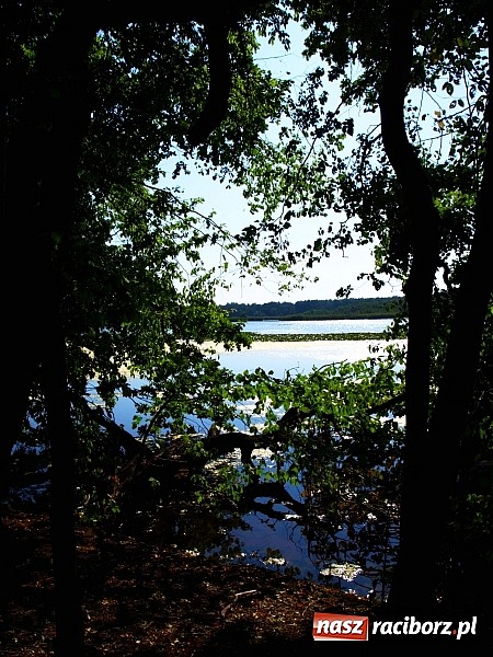 Zdjęcie w galerii na portalu naszraciborz.pl: Zaproszenie do rezerwatu Łężczok wiadomości z regionu