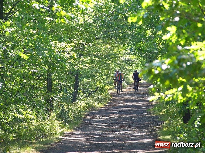 Zdjęcie w galerii na portalu naszraciborz.pl: Zaproszenie do rezerwatu Łężczok wiadomości z regionu
