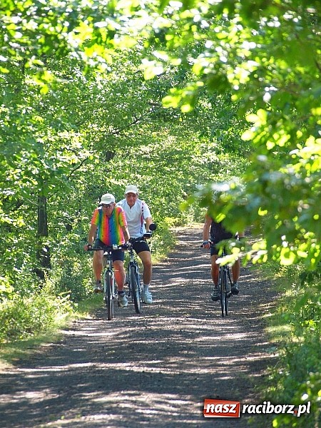 Zdjęcie w galerii na portalu naszraciborz.pl: Zaproszenie do rezerwatu Łężczok wiadomości z regionu