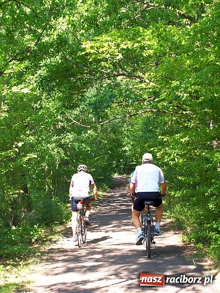 Zdjęcie w galerii na portalu naszraciborz.pl: Zaproszenie do rezerwatu Łężczok wiadomości z regionu