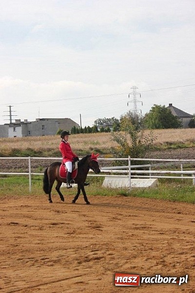 Zdjęcie w galerii na portalu naszraciborz.pl: Udany debiut 13-letniej Marty Starzec wiadomości z regionu