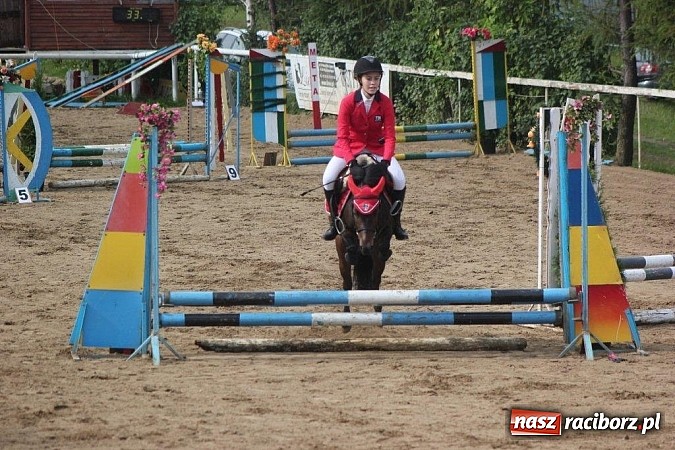 Zdjęcie w galerii na portalu naszraciborz.pl: Udany debiut 13-letniej Marty Starzec wiadomości z regionu